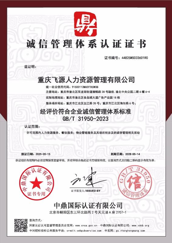 重庆飞源人力资源管理有限公司